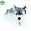 7182 1 pluss kutya husky 30 cm