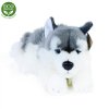 Plüss kutya husky 30 cm