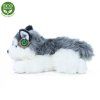7182 2 pluss kutya husky 30 cm