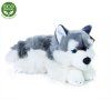 7182 pluss kutya husky 30 cm