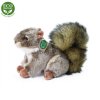 Plüss mókus 24 cm - plüss játékok