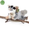 Plüss mókus 30 cm - plüss játékok