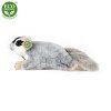7954 pluss mokus 30 cm pluss jatekok