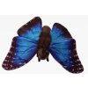 77DB4F94 E003 41A6 A813 4B0168097326 motyl plys c1043115