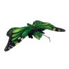 011C9F71 24AF 434F A6E4 668260B7F07B motyl zeleny b601972
