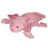 0019229 axolotl C1017300.jpg