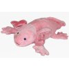 A5583C9D 3837 49FD A5F9 20130543C211 axolotl c1017300