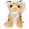 gepard