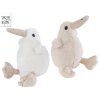 ACBECFE9 A71D 42D7 BEAF F5753241840D kiwi m660557