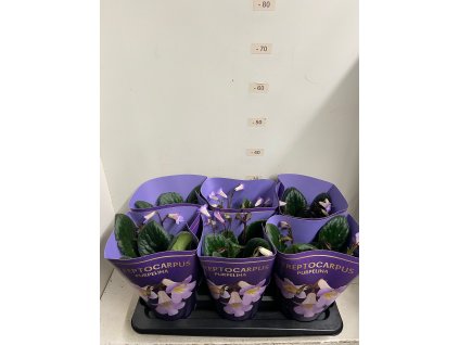 aec9c25c 917b 4075 9e23 1585bff725f3