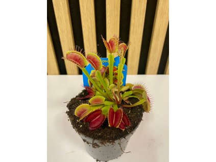 82da26b5 7b61 4151 9e36 48f5774235a5