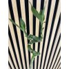 Dracena bamboo