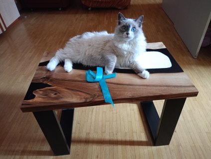 Epoxidovy konferenční stolek Flat Cat