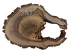 Walnut Trunk Slices for Epoxy Production