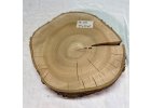 Fruit Trees Trunk Slices for Epoxy Production