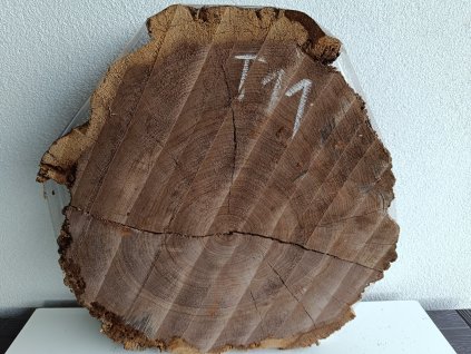 ořešák T11 (2)