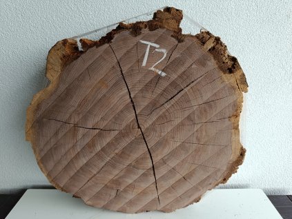 ořešák T2 (2)
