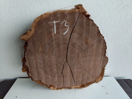 ořešák T3 (2)