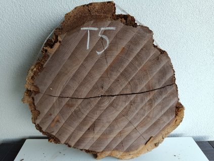 ořešák T5 (2)