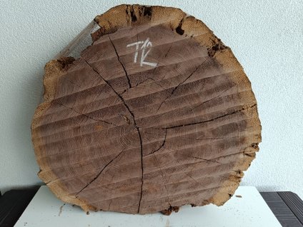 ořešák T12 (2)