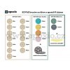 Kovax brusivo na dřevo a epoxid 125mm prezentace s vodoznakem