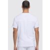 Pánska blúza Dickies EDS Essentials - biela (Veľkosť 3XL)
