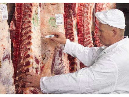 Digitální vpichovací HACCP teploměr, krytí IP65, TFA 30.1013