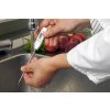 Digitální vpichovací HACCP teploměr, krytí IP65, TFA 30.1018