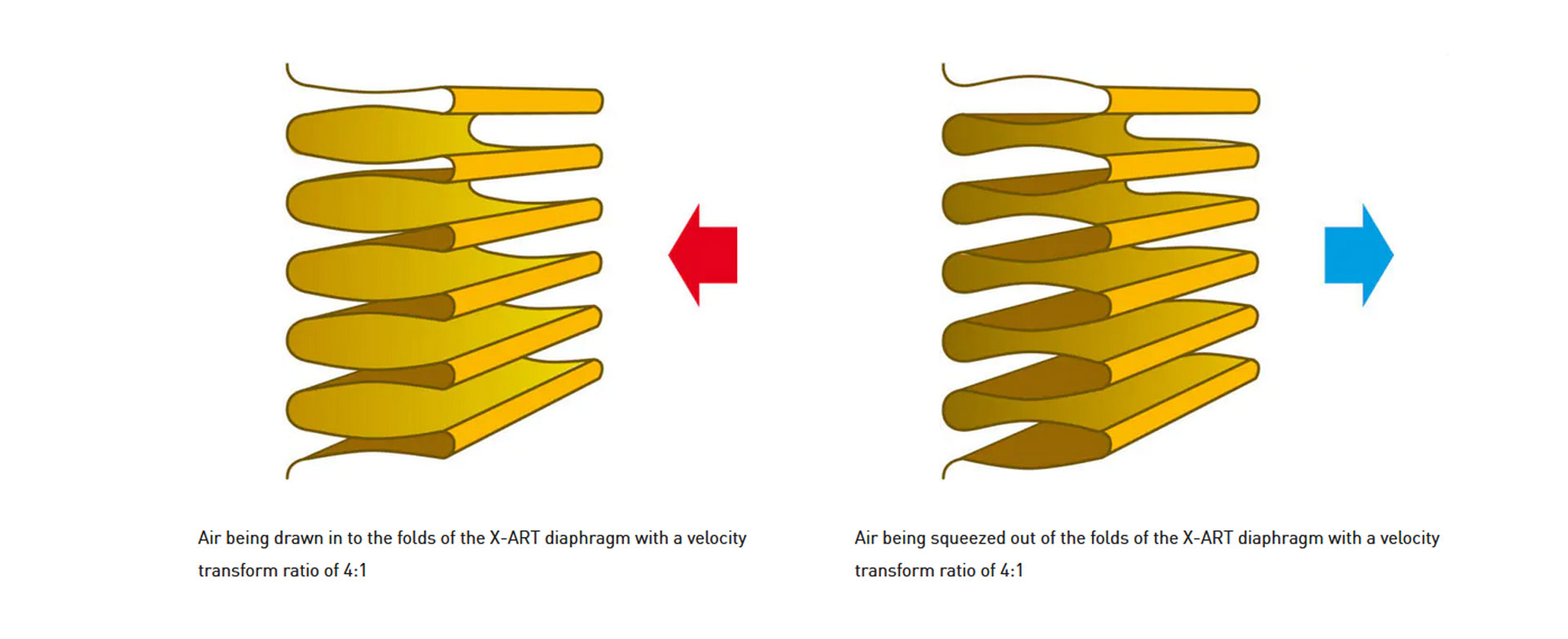 ADAM_Audio_XART_PRODANCE_3