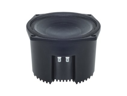B&C Speakers 6NSM51 8/ohm