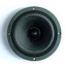 B&C Speakers 6PEV13 8/ohm