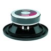 B&C Speakers 6PEV13 8/ohm