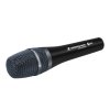 Sennheiser E965