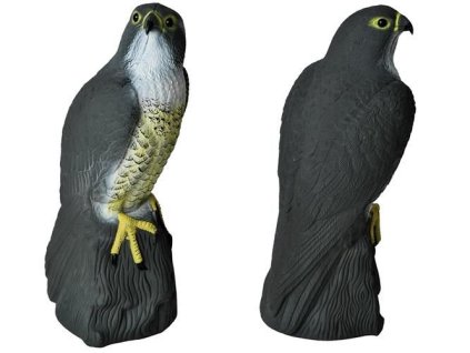 Sokol 1