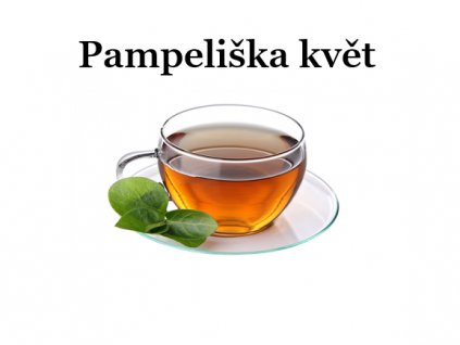 Pampeliška květ