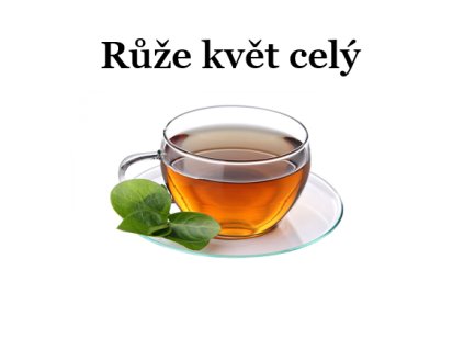 Růže květ celý