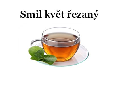 Smil květ řezaný