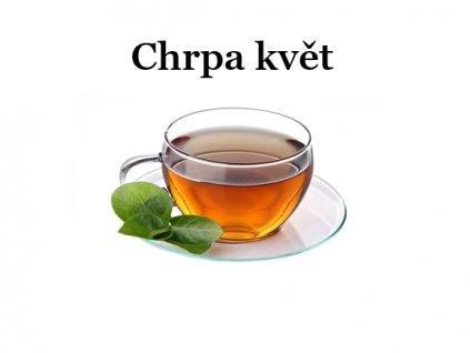 Chrpa květ