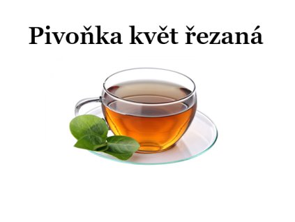 Pivoňka květ řezaná