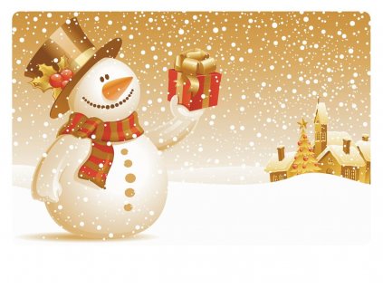 Prostírání vánoční 43x28 cm plast