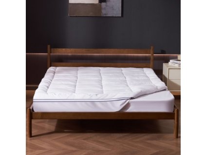 us%2FXWTCD6080INCC3PJWV0%2Fgoods img v1%2Fmattress topper m100 1.2