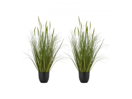 us%2FDPKXPLWCLS35CCHPH001V0%2Fgoods img v1%2Fartificial grass plant m100 1.2