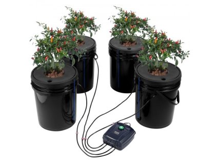 us%2FSSSPXTYX4110VW1XKV2%2Fgoods img v1%2Fdwc hydroponic system m100 1.2