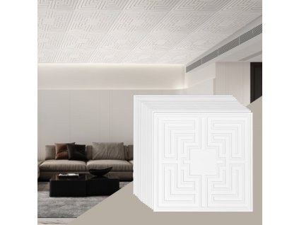 us%2FTHBZPVCB12J29DDRKV0%2Fgoods img v1%2Fceiling tiles m100 1.2