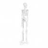 Mini model kostry člověka - měřítko 1:4 (45 cm)