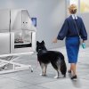 us%2FDDSJBXGCWYG5LZSRQV2%2Fgoods img v2%2Fpet grooming table m100 1.12