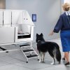 us%2FBXGCWYG62YKM2ATAYV0%2Fgoods img v5%2Fpet grooming table m100 1.12