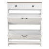 us%2FBCGBMJQTCZXJSBCZM001V0%2Fgoods img v1%2Fshoe storage cabinet m100 9