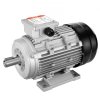 us%2FTYJLIECDJ300ILW2HV8%2Fgoods img v1%2Fgeneral purpose ac motor m100 1.2