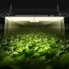 us%2FLZB150W21220VN9EHV2%2Fgoods img v6%2Fgrow light m100 1.12